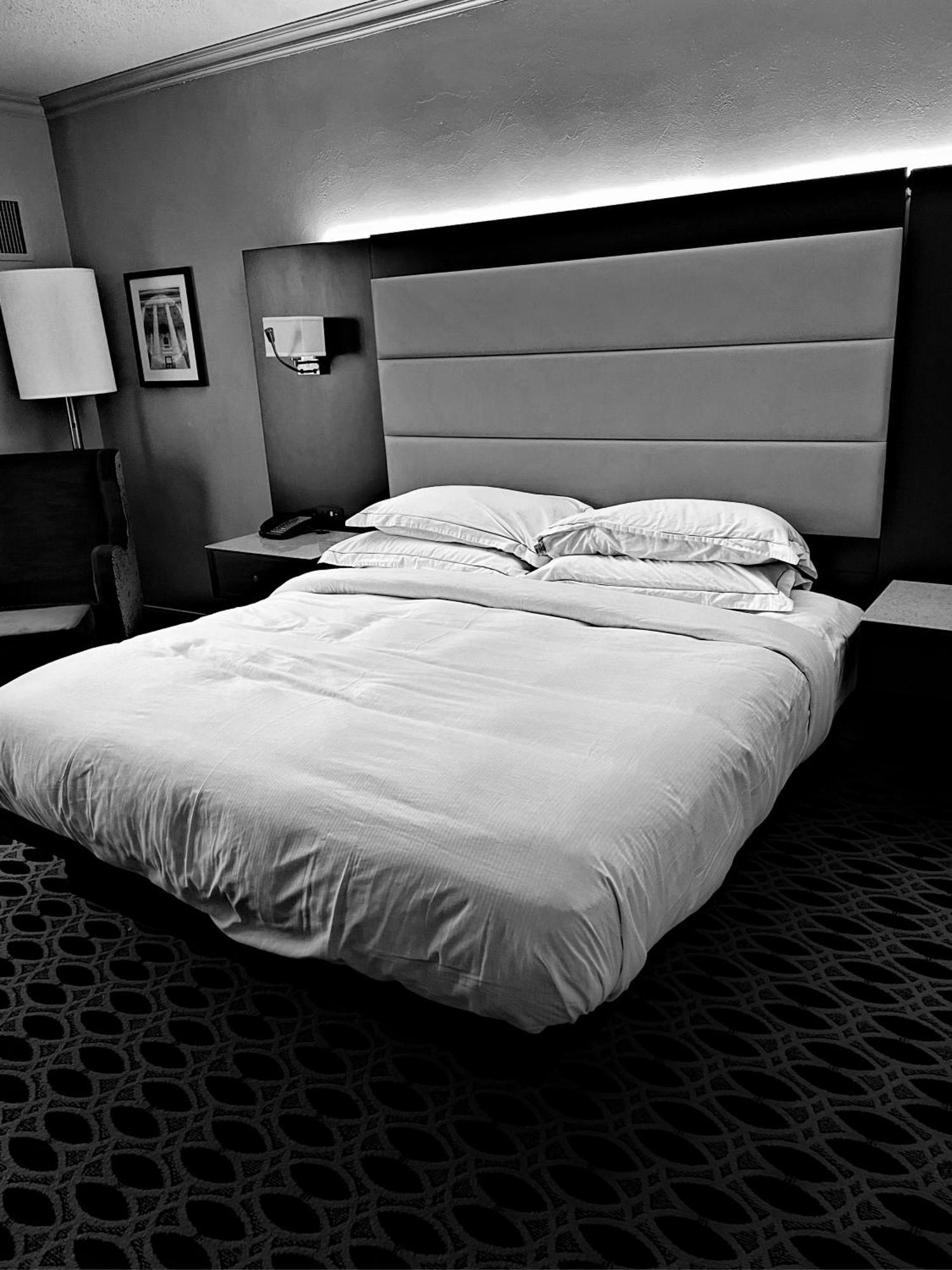 Hotel Ambience Plaza Jmd - Delhi Airport 뉴델리 외부 사진